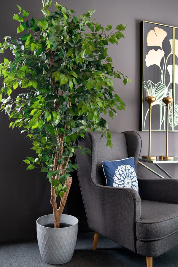 Ficus artificial - The Green Store