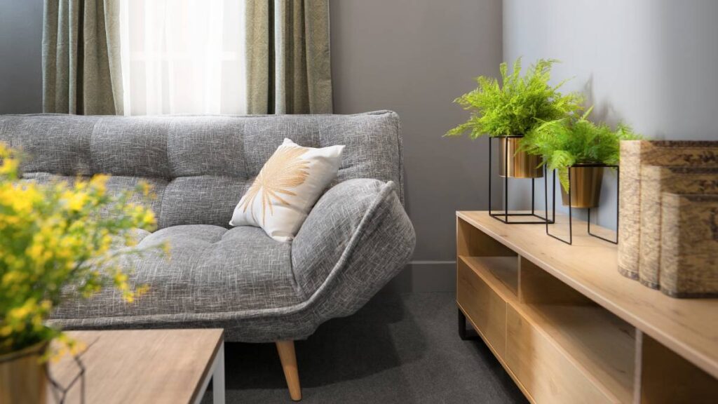 Grey sofa bed in bright modern living room