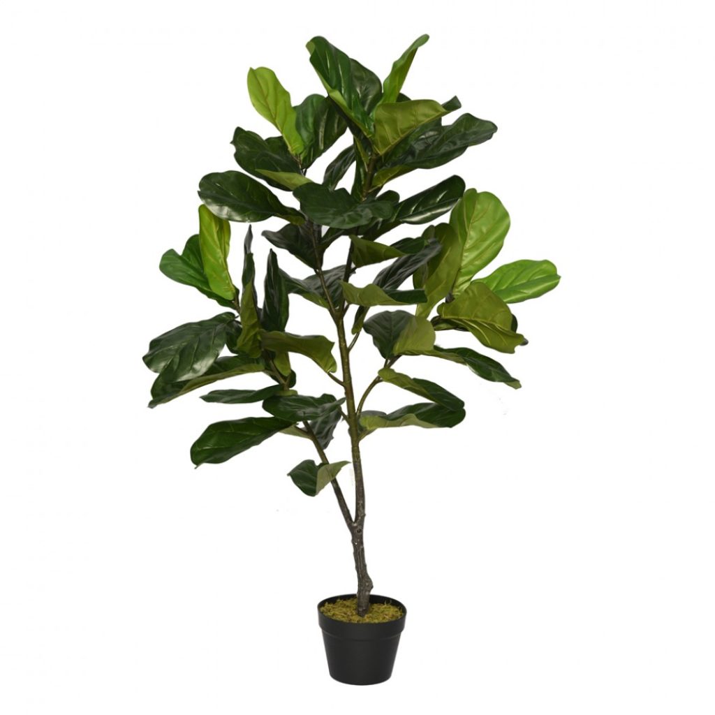 SSF MOCEAE 120CM POTTED FIDDLE LEAF TREE ATRWDA171104