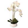 SSF 25" REAL TOUCH PHALAENOPSIS W/POT APLYGA181104WH