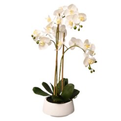 SSF 25" REAL TOUCH PHALAENOPSIS W/POT APLYGA181104WH