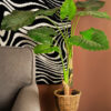 Amani Artificial Potted Taro Leaves Tree