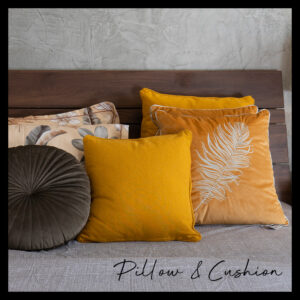 Pillow & Cushion