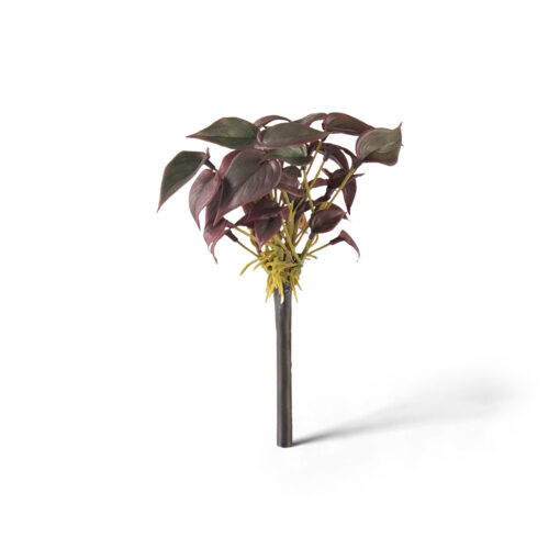 Anthurium Spray (H20cm)