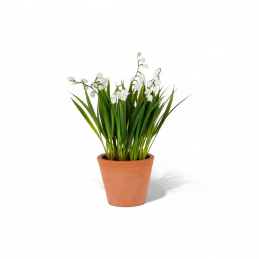 Potted Lily Of The Valley (H25cm)