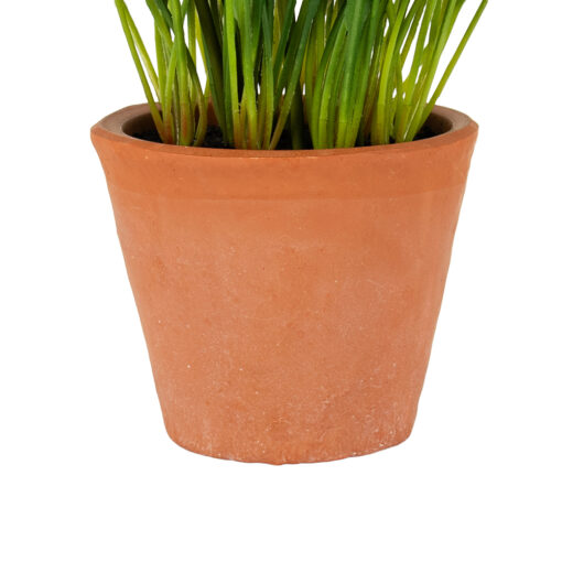 Potted Lily Of The Valley (H25cm) - Image 5