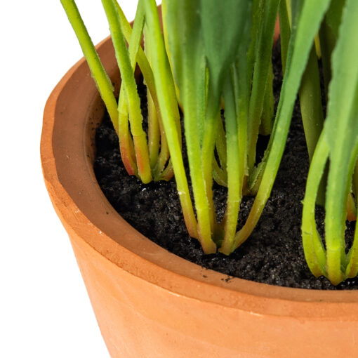 Potted Lily Of The Valley (H25cm) - Image 6