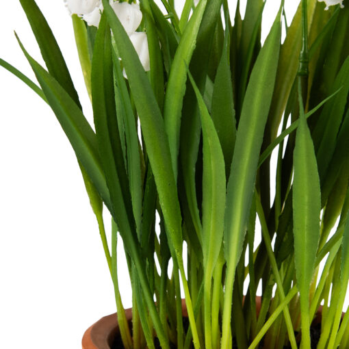 Potted Lily Of The Valley (H25cm) - Image 4