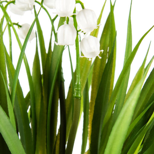 Potted Lily Of The Valley (H25cm) - Image 3