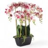 Artificial Flower & Plant