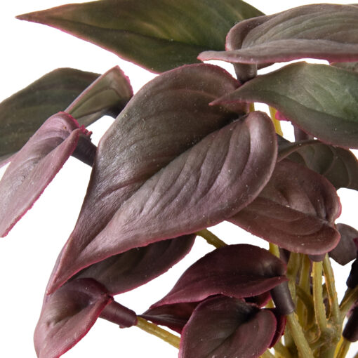 Anthurium Spray (H20cm) - Image 2