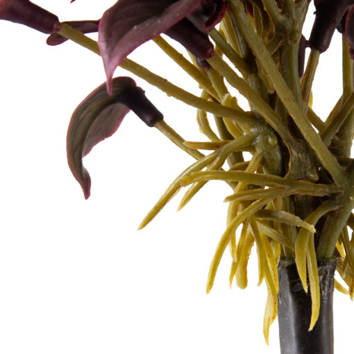 Anthurium Spray (H20cm) - Image 3