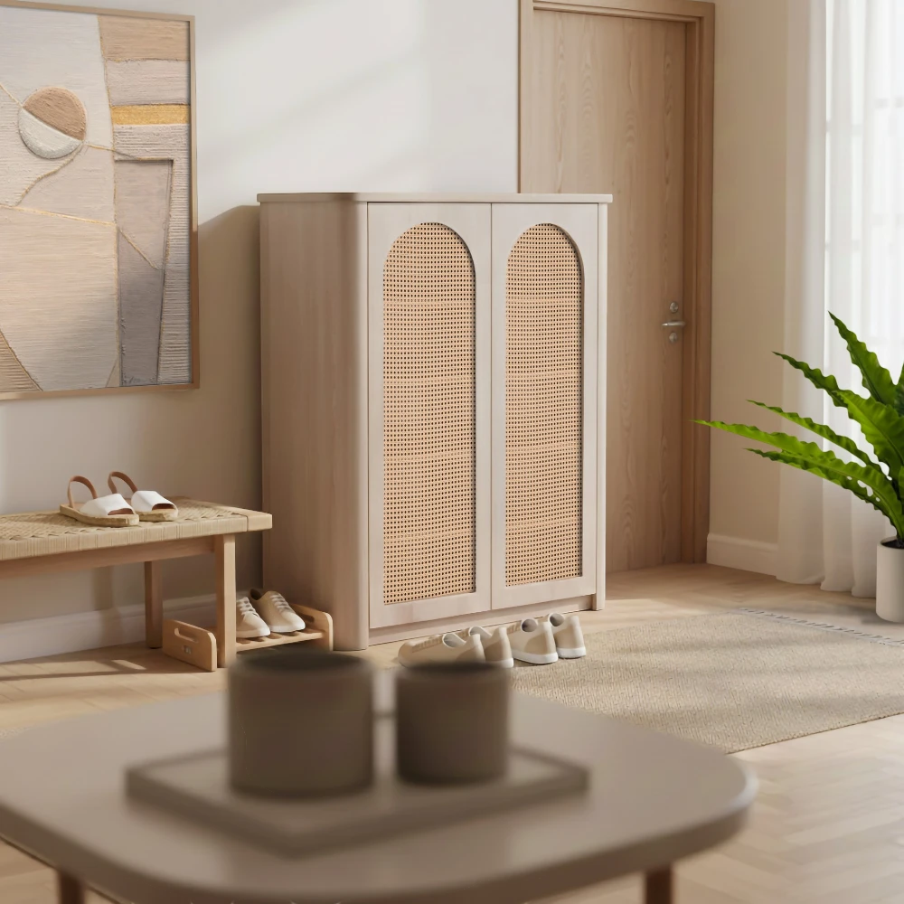 Vienna Shoe Cabinet - Image 13