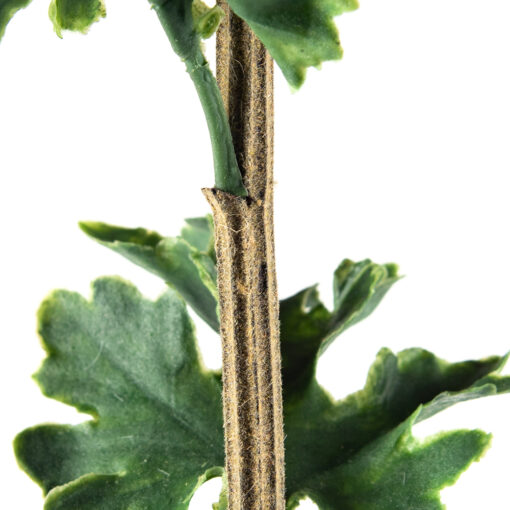 Single Chrysanthemum (H78cm) - Image 5