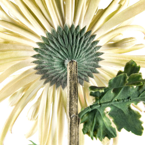 Single Chrysanthemum (H78cm) - Image 3