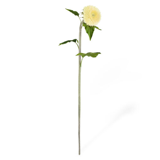 Single Teddy Bear Sunflower (H96cm) - Image 6