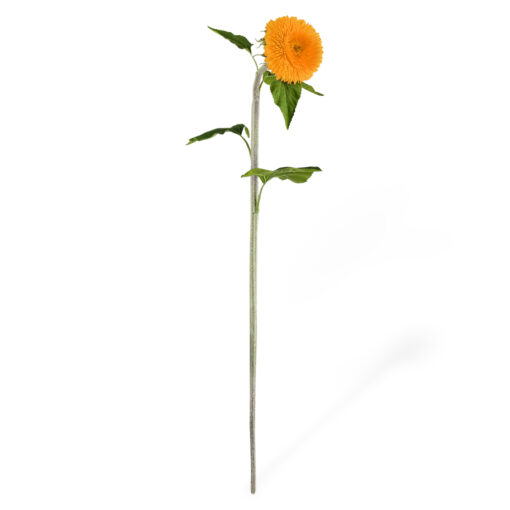Single Teddy Bear Sunflower (H96cm) - Image 7