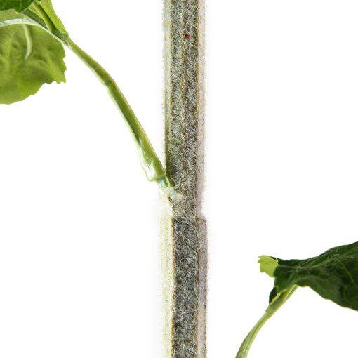 Single Teddy Bear Sunflower (H96cm) - Image 5
