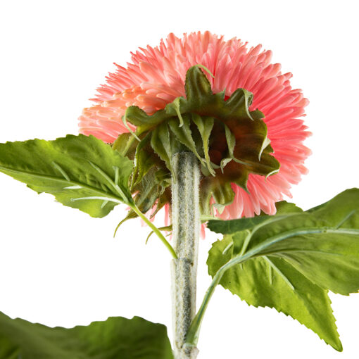 Single Teddy Bear Sunflower (H96cm) - Image 3