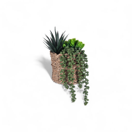 String of Pearls & Succulents (H18.6cm)