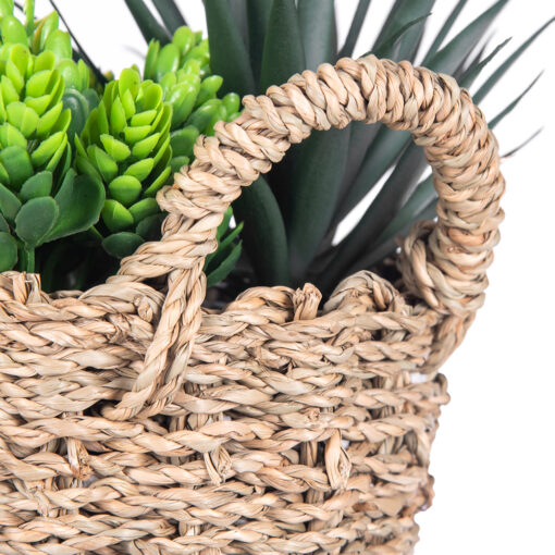 String of Pearls & Succulents (H18.6cm) - Image 4