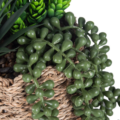 String of Pearls & Succulents (H18.6cm) - Image 5