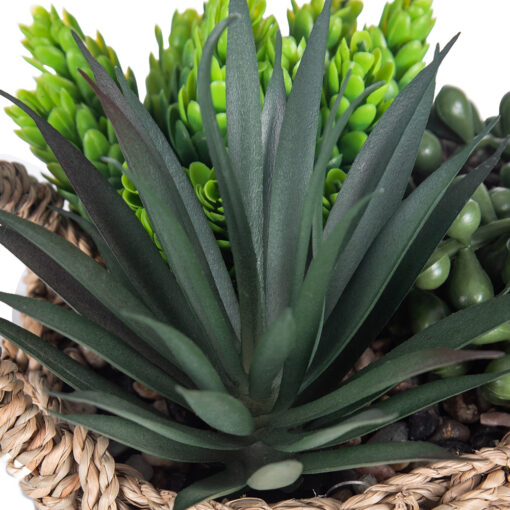 String of Pearls & Succulents (H18.6cm) - Image 6