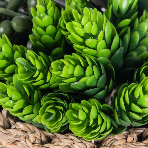String of Pearls & Succulents (H18.6cm) - Image 7