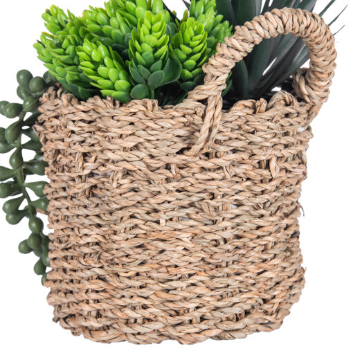 String of Pearls & Succulents (H18.6cm) - Image 8
