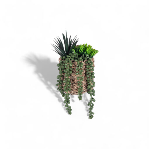 String of Pearls & Succulents (H18.6cm) - Image 2