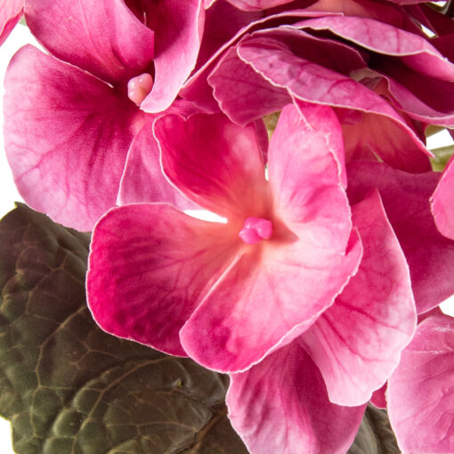 Hawaiian Hydrangea Spray (H60cm) - Image 2