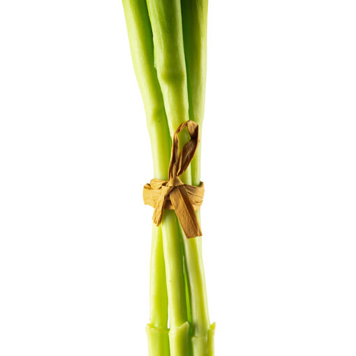 Tulip (46cm) - Image 4