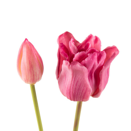 Tulip (46cm) - Image 2