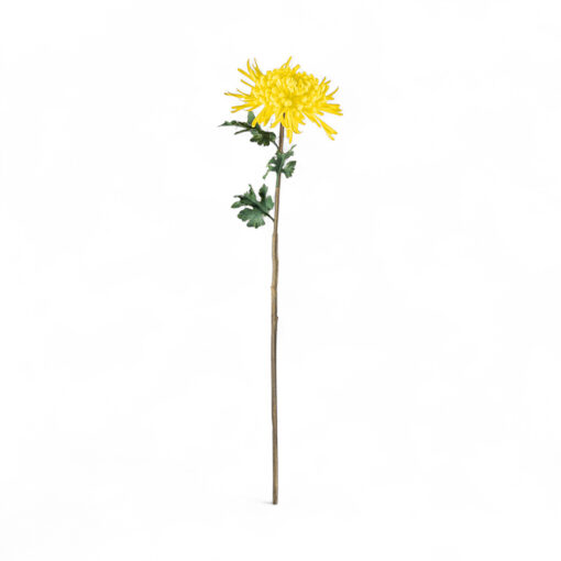 Single Chrysanthemum (H78cm) - Image 2