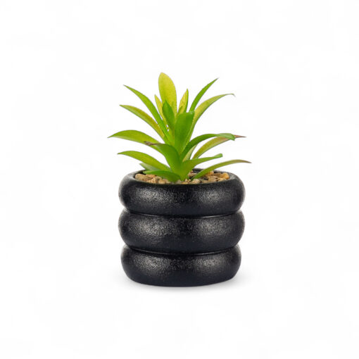 Maguey Potted Plant (H12.5cm)