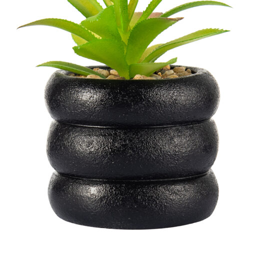 Maguey Potted Plant (H12.5cm) - Image 4