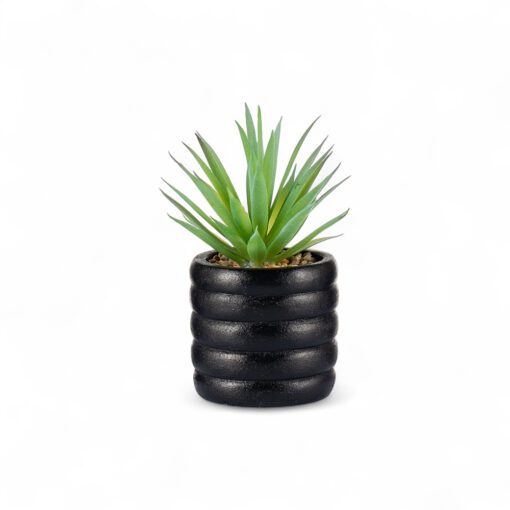 Sword Grass Potted Plant (H17cm)