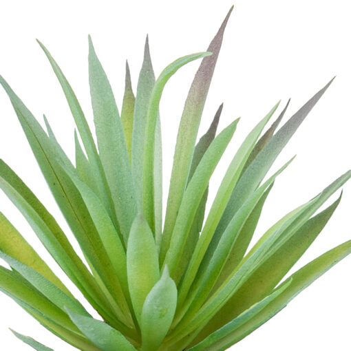 Sword Grass Potted Plant (H17cm) - Image 2