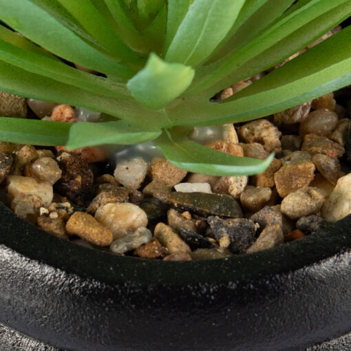 Sword Grass Potted Plant (H17cm) - Image 3
