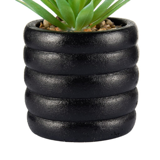 Sword Grass Potted Plant (H17cm) - Image 4
