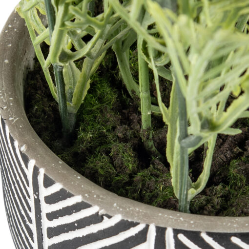 Potted Lavender (H35cm) - Image 6