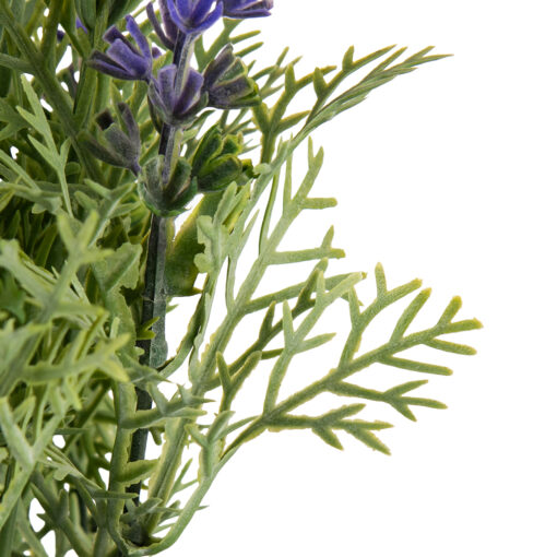 Potted Lavender (H35cm) - Image 5