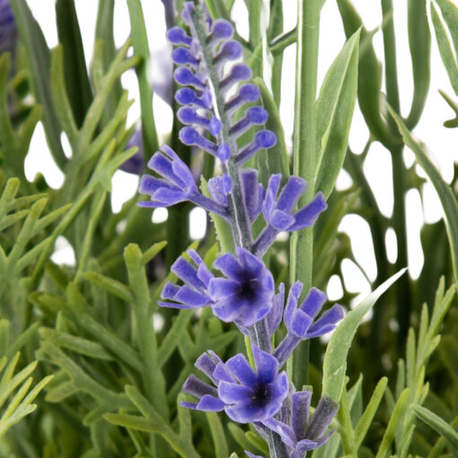 Potted Lavender (H35cm) - Image 2
