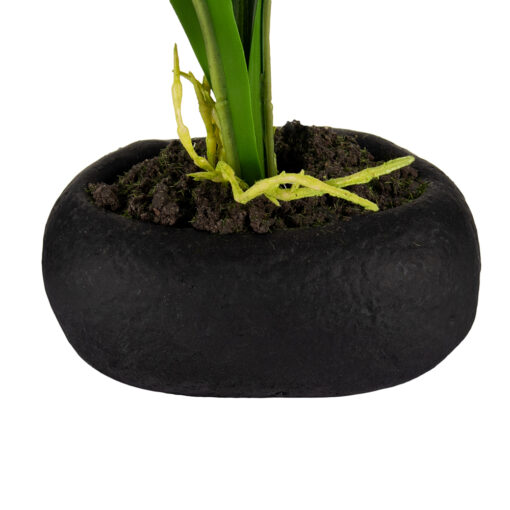 Potted Dancing Orchid (H26.5cm) - Image 8