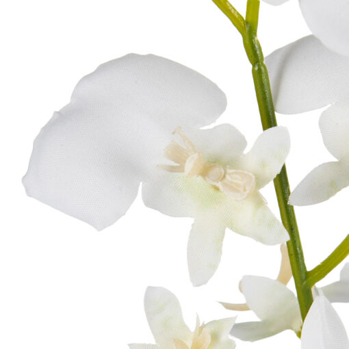 Potted Dancing Orchid (H26.5cm) - Image 4