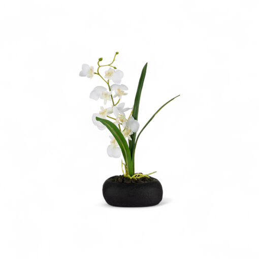 Potted Dancing Orchid (H26.5cm) - Image 2