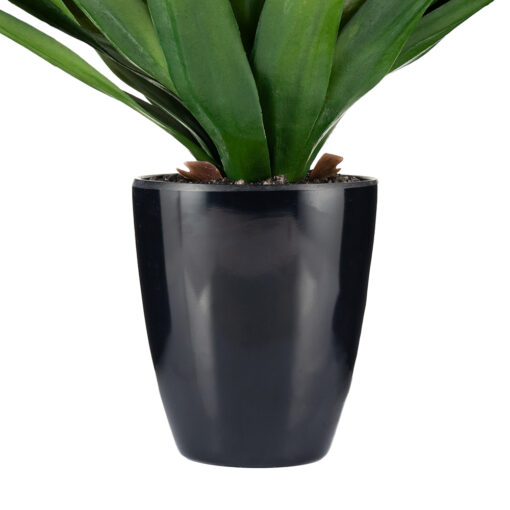 Potted Agave (H65cm) - Image 5