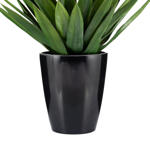 Potted Agave (H75cm) - Image 5