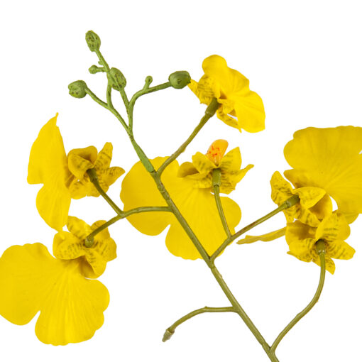 Potted Oncidium (H35cm) - Image 2