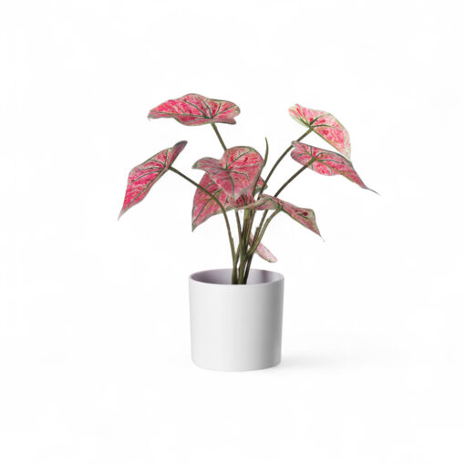 Real Touch Potted Syngonium (H29cm)